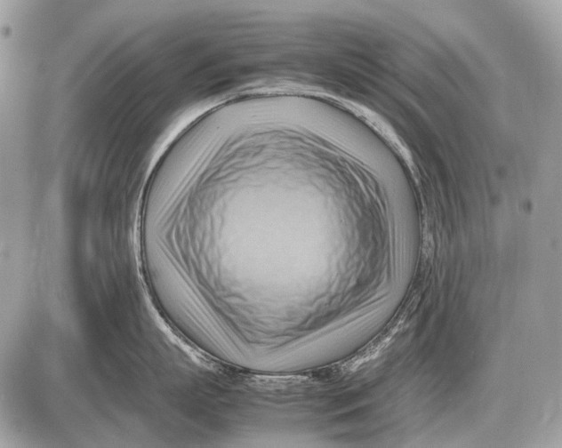 X0000087400863200705111824