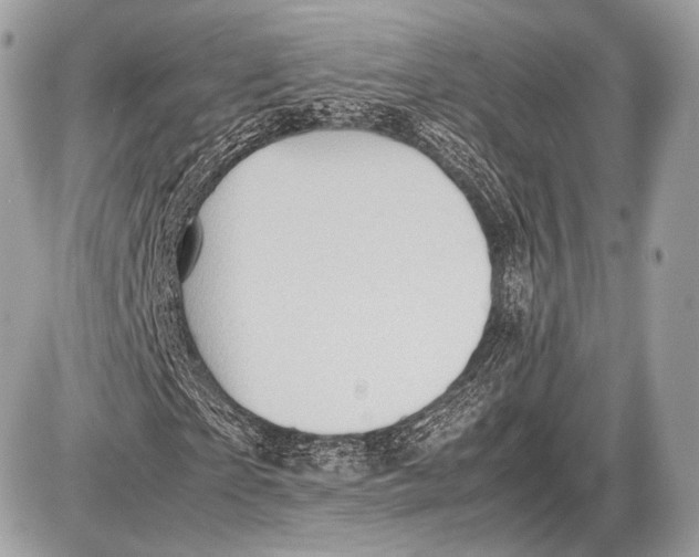 X0000087400865200705111823