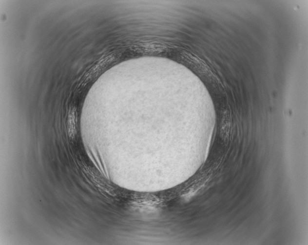 X0000087400866200705111823