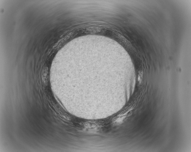 X0000087400867200705111823