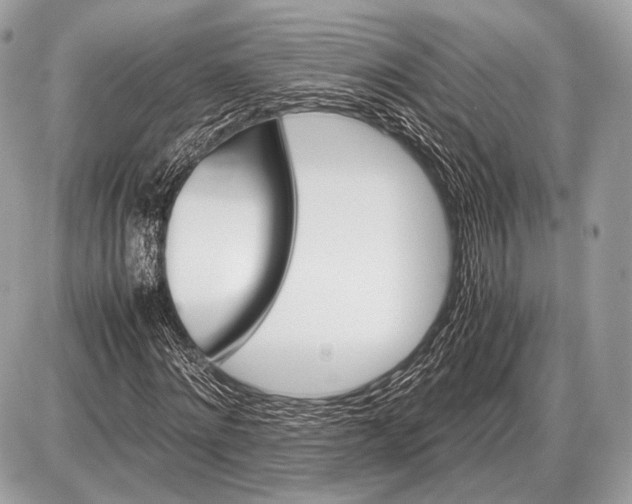 X0000087400868200705111823