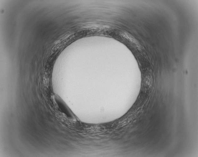 X0000087400869200705111823