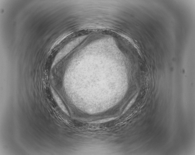 X0000087400871200705111823