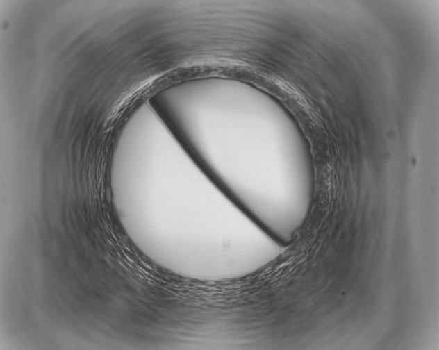 X0000087400872200705111823