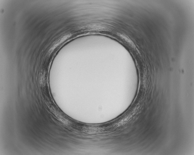 X0000087400873200705111823