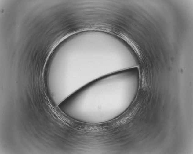 X0000087400876200705111823