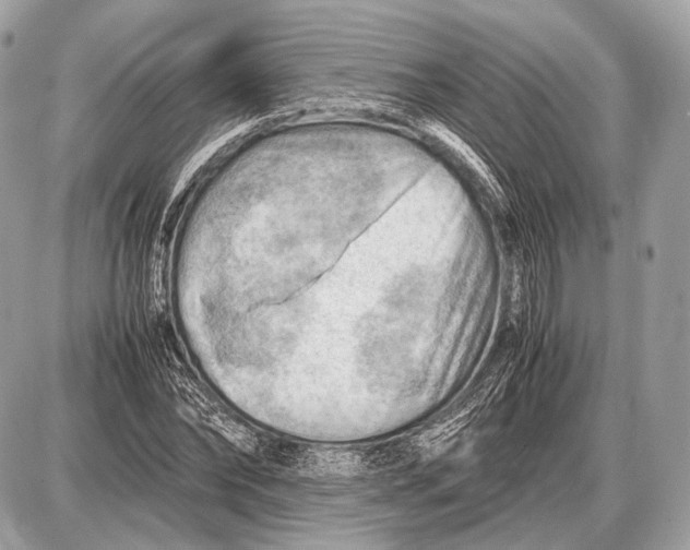 X0000087400878200705111823