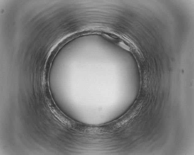 X0000087400880200705111823