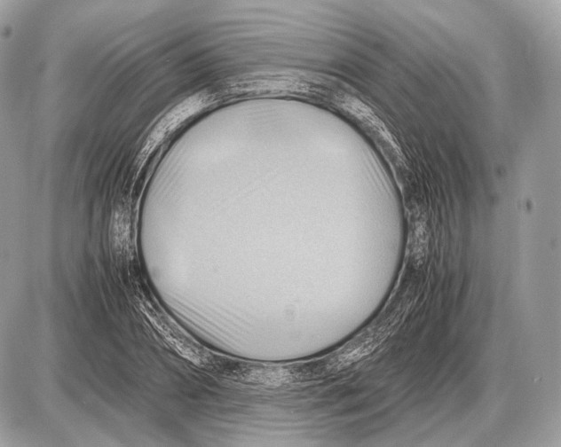 X0000087400882200705111823