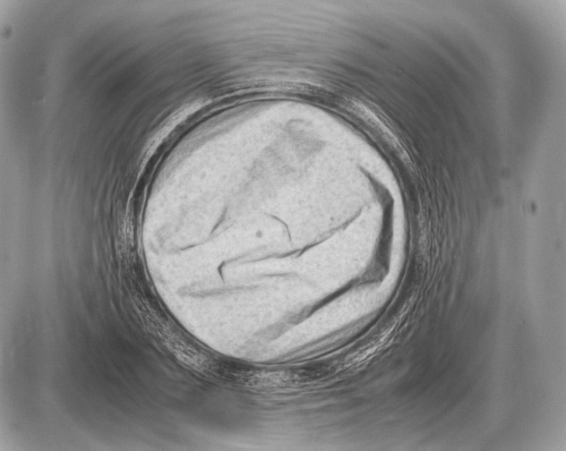 X0000087400883200705111823