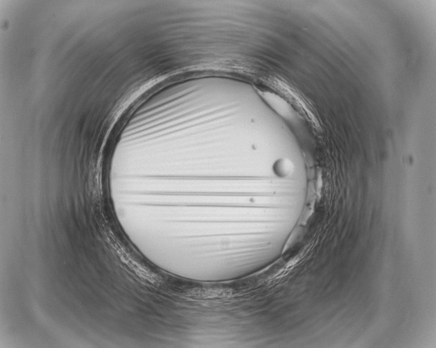 X0000087400884200705111823