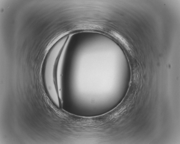 X0000087400885200705111823