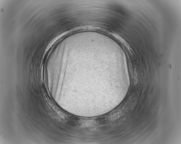 X0000087400886200705111823