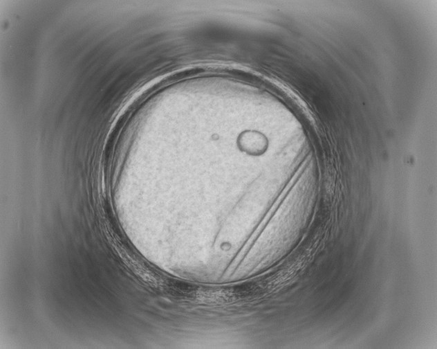 X0000087400887200705111823