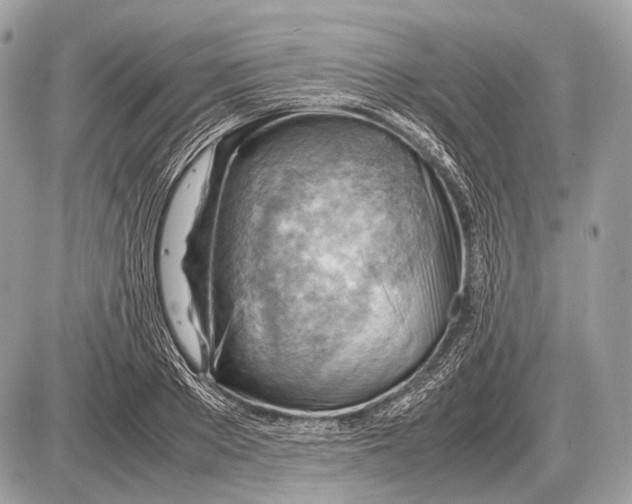 X0000087400889200705111823