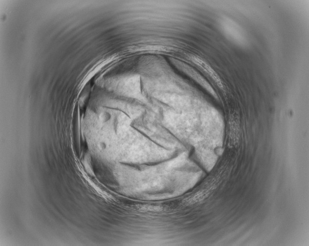 X0000087400890200705111823