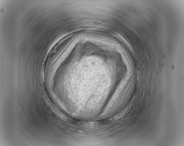 X0000087400891200705111823