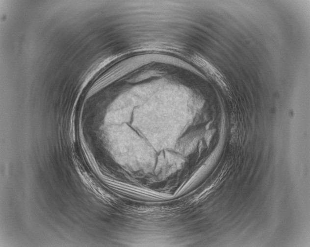 X0000087400892200705111823