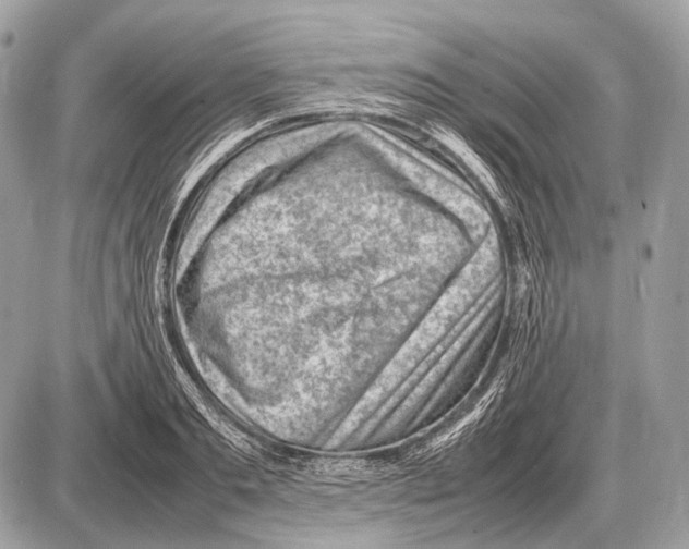 X0000087400893200705111823