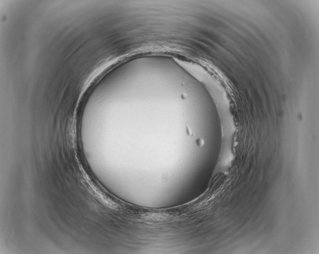 X0000087400894200705111823