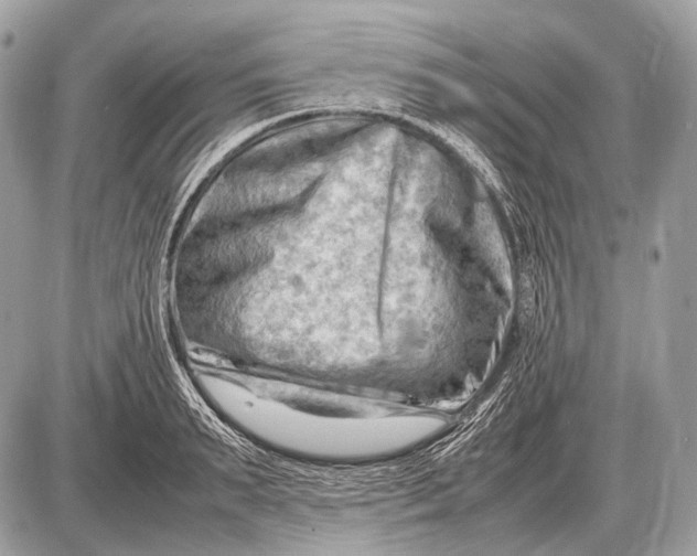 X0000087400895200705111823