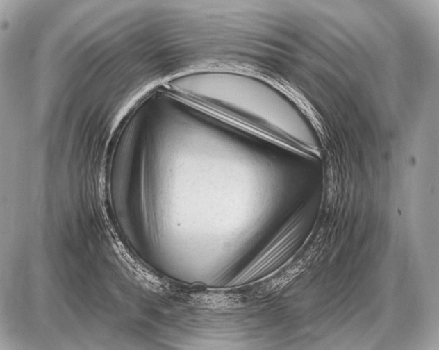 X0000087400896200705111823