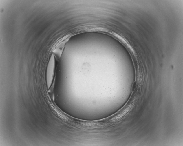 X0000087400897200705111823