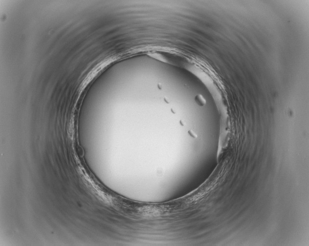 X0000087400898200705111823