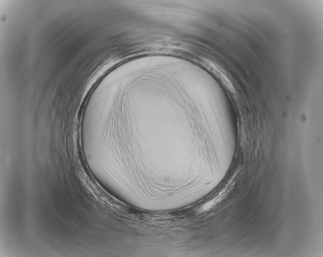 X0000087400899200705111823