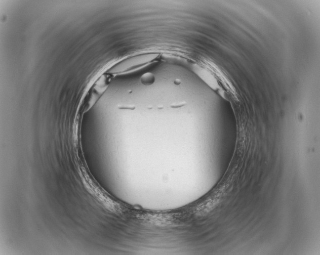 X0000087400900200705111823