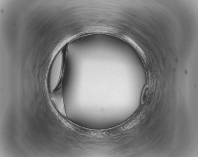 X0000087400901200705111823