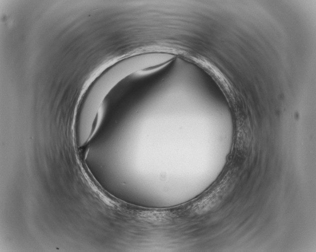 X0000087400902200705111823