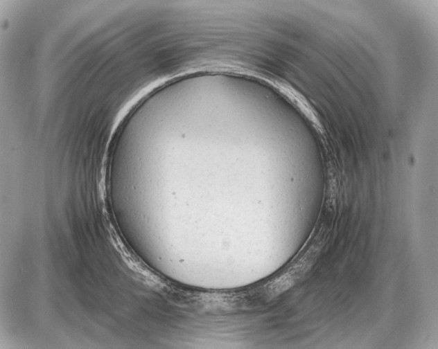 X0000087400904200705111823