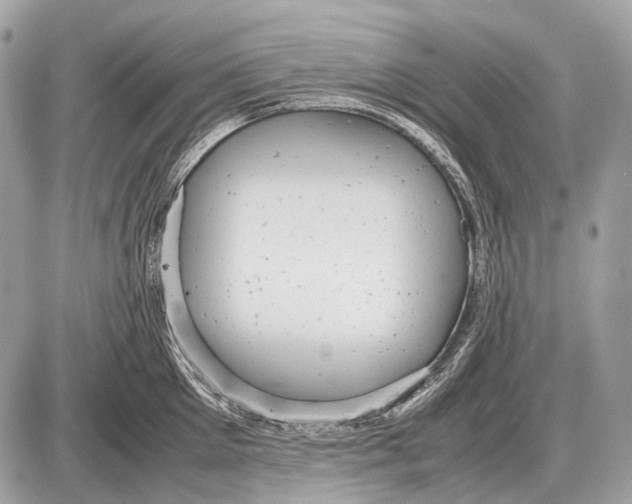 X0000087400905200705111823