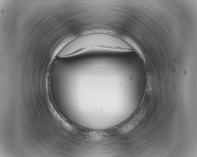 X0000087400906200705111822