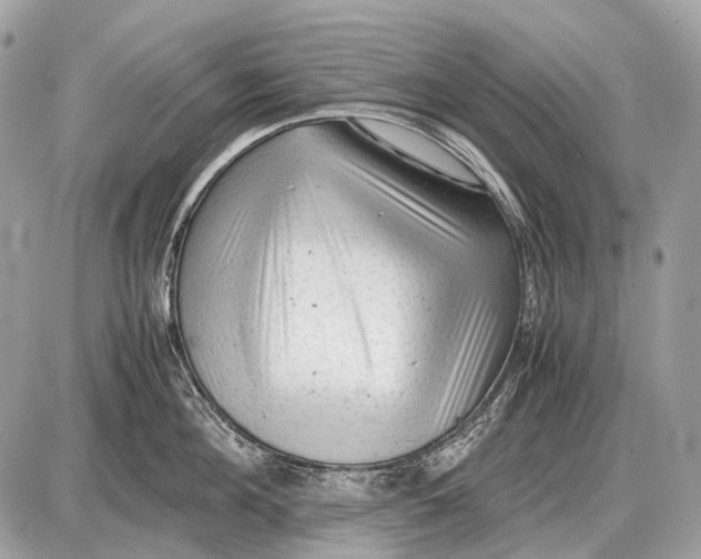 X0000087400908200705111822