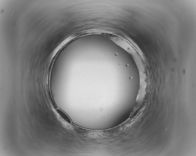 X0000087400909200705111822