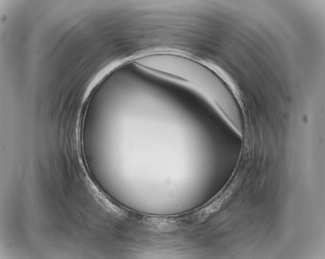 X0000087400910200705111822