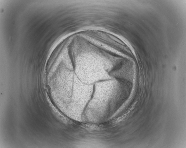 X0000087400911200705111822