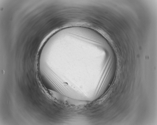 X0000087400912200705111822