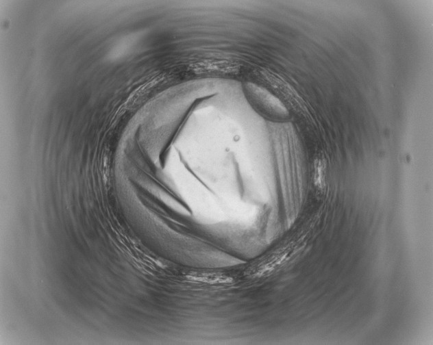 X0000087400915200705111822