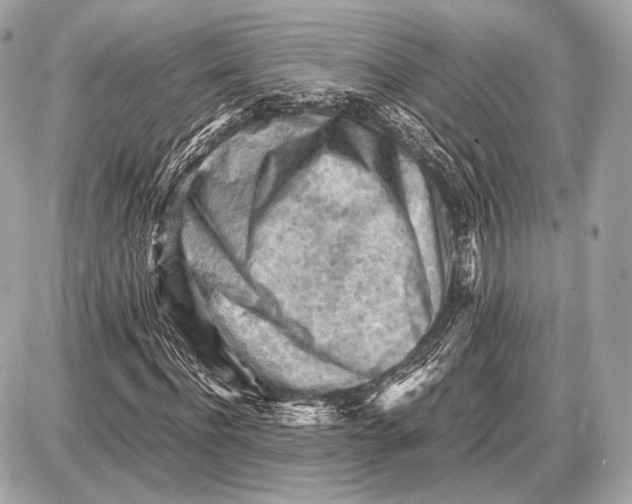 X0000087400916200705111822