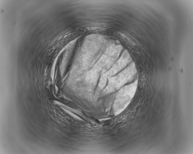 X0000087400917200705111822