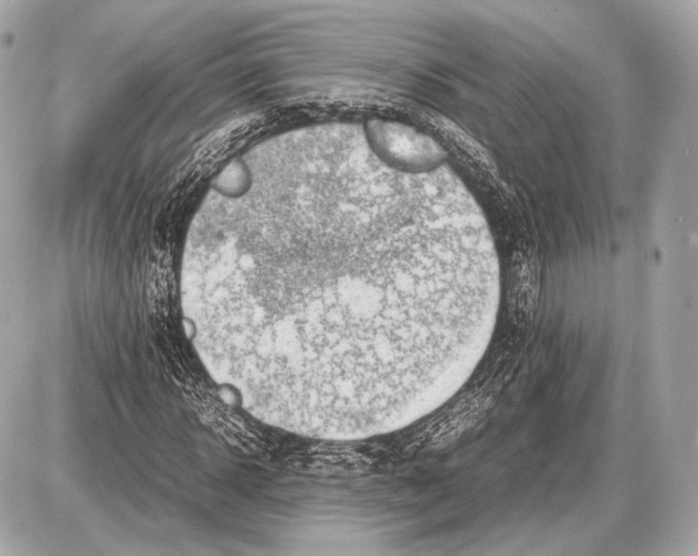 X0000087400918200705111822