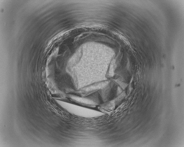 X0000087400920200705111822