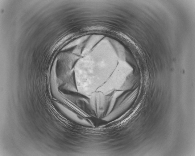 X0000087400921200705111822