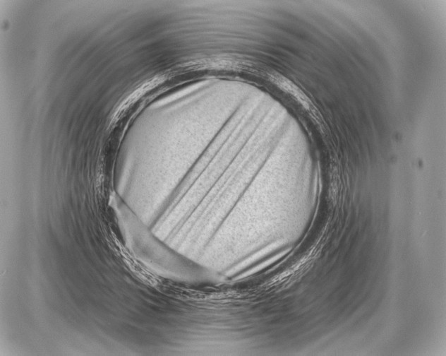 X0000087400922200705111822