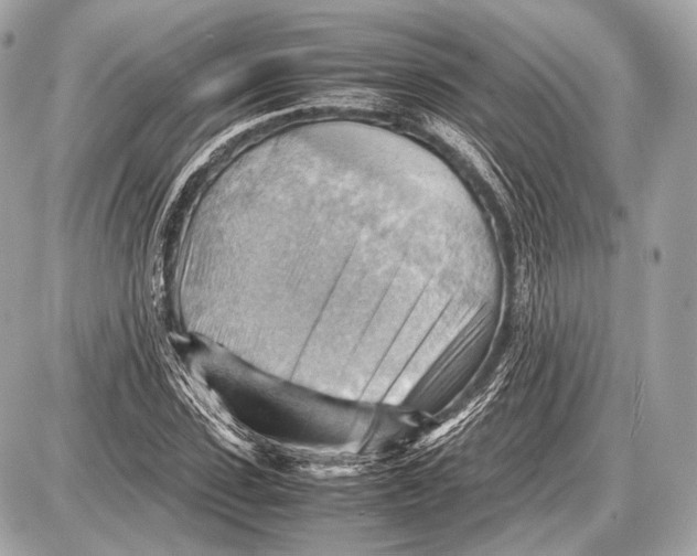 X0000087400923200705111822