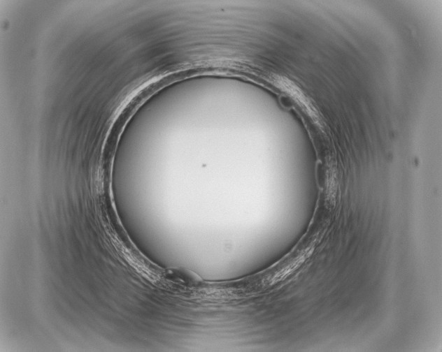 X0000087400924200705111822