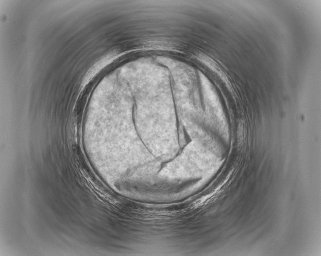 X0000087400925200705111822